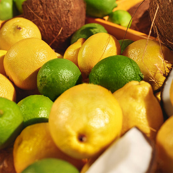 LIMONADA GELADA SUMMER LE MIST